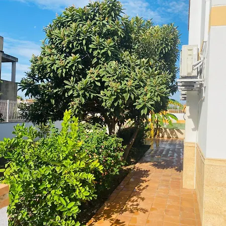 Anacasa Canyaes Playa Pau Pi Ch401 * אוליבה