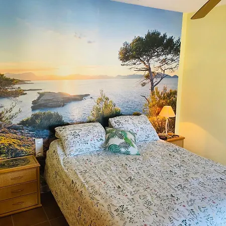 Anacasa Canyaes Playa Pau Pi Ch401 Oliva